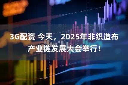 3G配资 今天，2025年非织造布产业链发展大会举行！