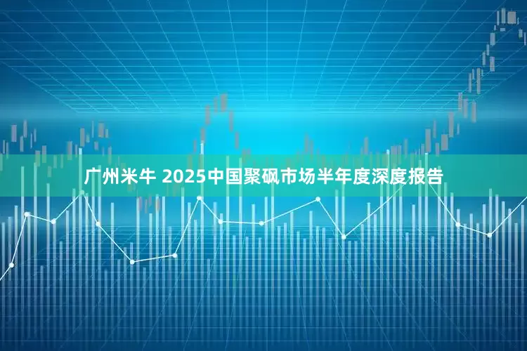 广州米牛 2025中国聚砜市场半年度深度报告