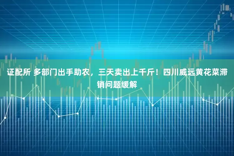 证配所 多部门出手助农，三天卖出上千斤！四川威远黄花菜滞销问题缓解