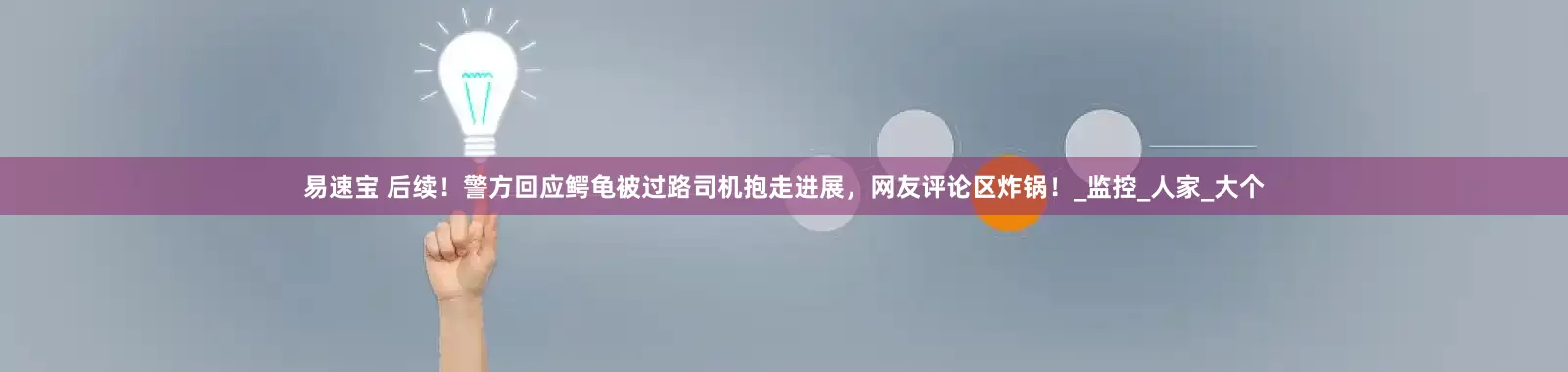 易速宝 后续！警方回应鳄龟被过路司机抱走进展，网友评论区炸锅！_监控_人家_大个