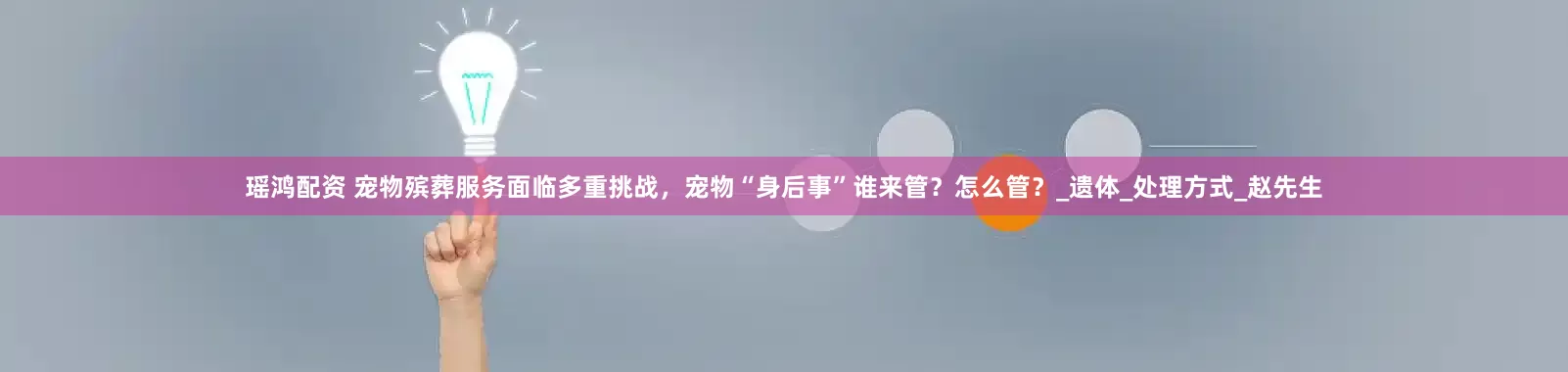 瑶鸿配资 宠物殡葬服务面临多重挑战，宠物“身后事”谁来管？怎么管？_遗体_处理方式_赵先生