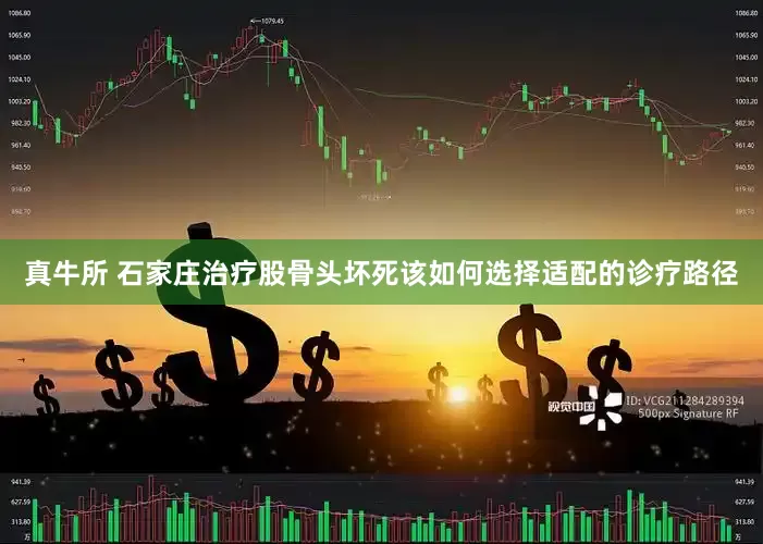 真牛所 石家庄治疗股骨头坏死该如何选择适配的诊疗路径